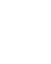 Welocalize