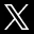 Developer X