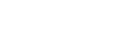 Brandedsurveys